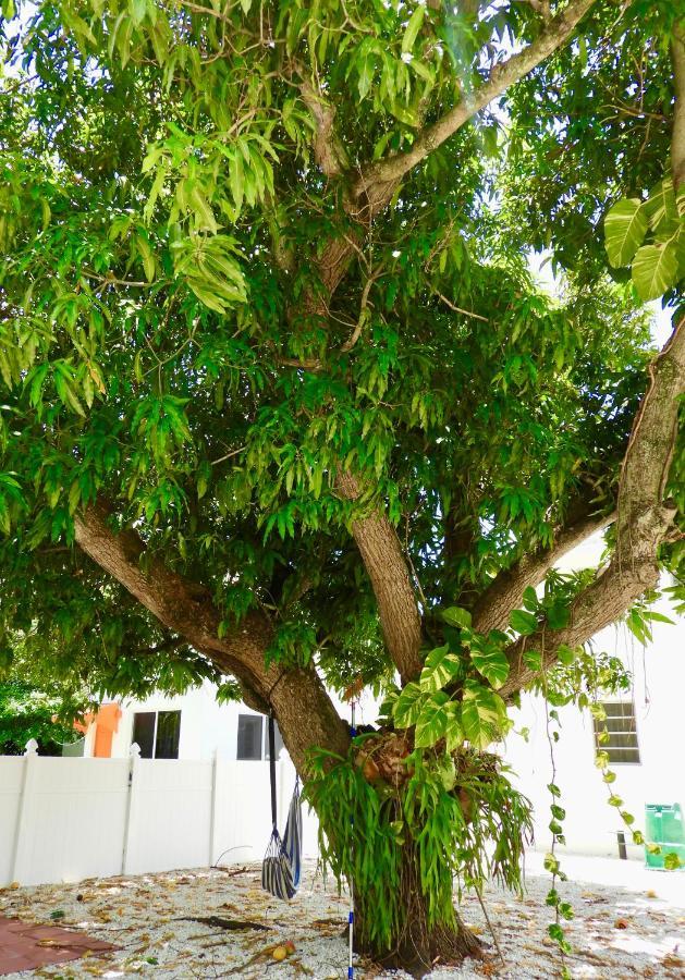 Beautiful Casita With King Bed And Private Patio Close To Calle 8, Mia Airport, Coral Gables Маямі Екстер'єр фото